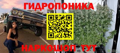 spice Рыбинск