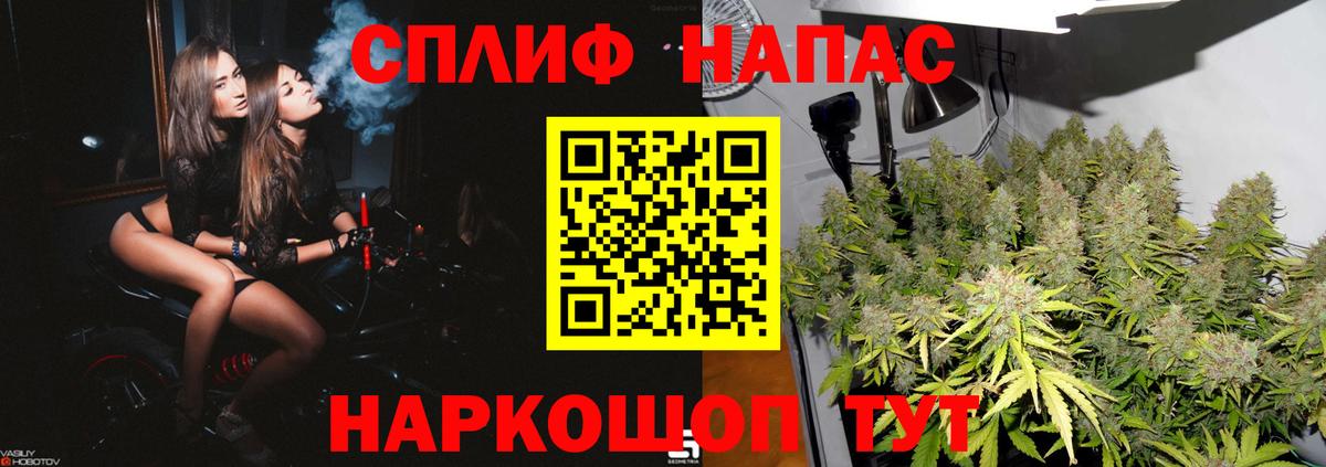 Канабис семена  Бошки Шишки MAZAR  Бошки марихуана семена  Канабис семена  Алейск  Вход с VPN 